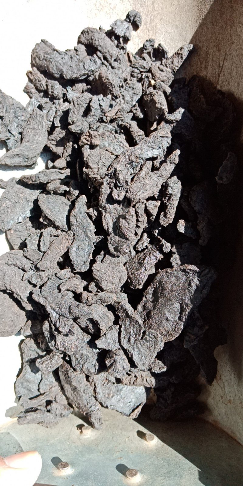熟地黄熟地河南熟地黄个食用正宗批发零售各种规格中药材