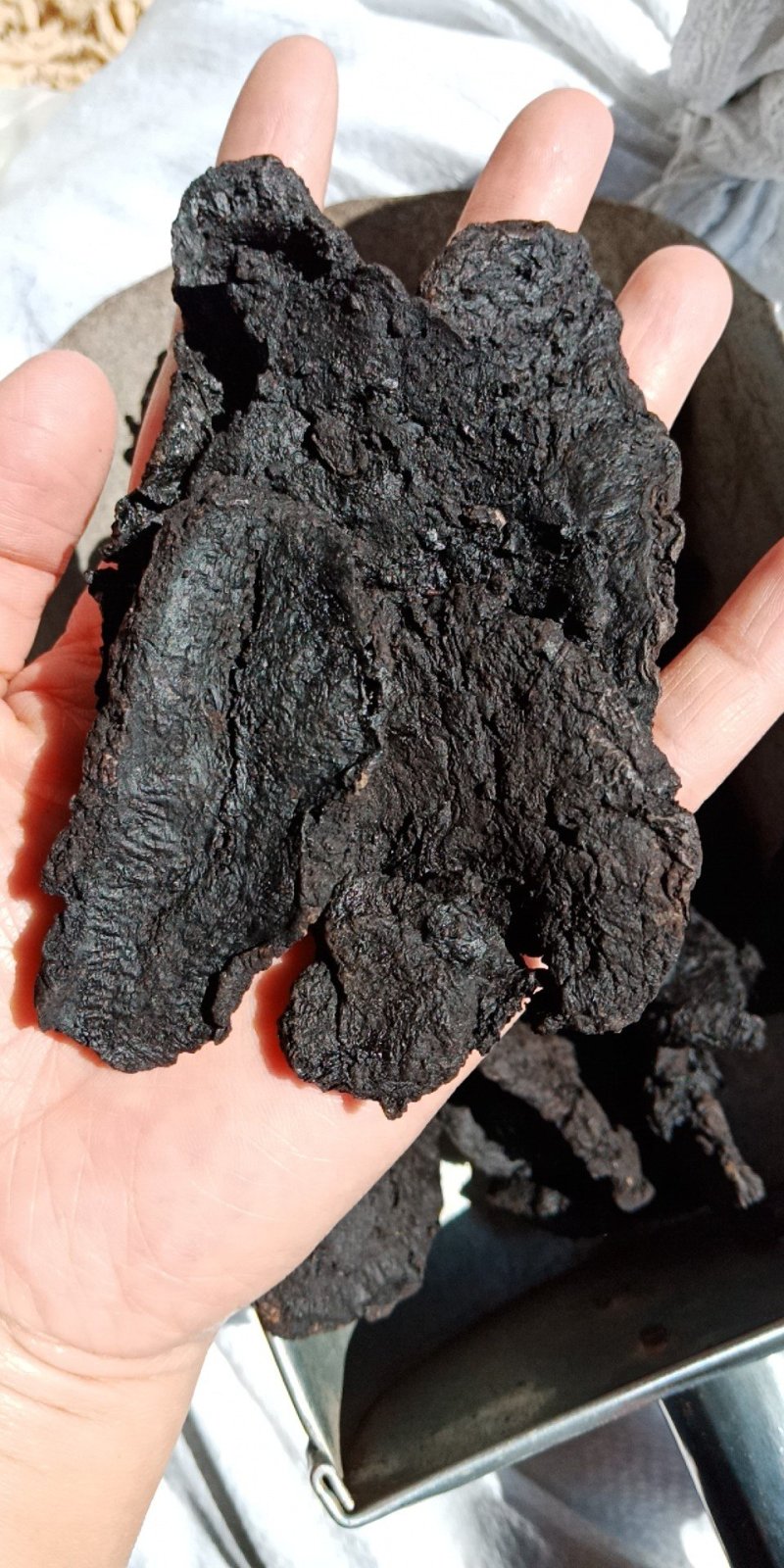 熟地黄熟地河南熟地黄个食用正宗批发零售各种规格中药材