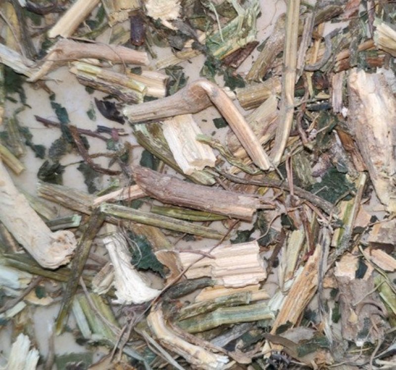 荨麻荨麻草干货无硫净货保正品批发零售冷背中药材