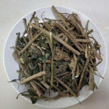 荨麻荨麻草干货无硫净货保正品批发零售冷背中药材