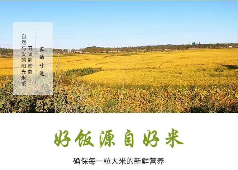 五常大米有机胚芽粥米，一件代发30元，诚招代理。