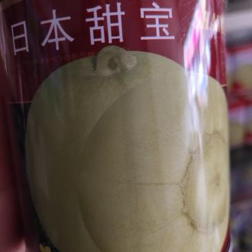 日本甜宝，早熟品种，成熟期35天左右果重400-500克