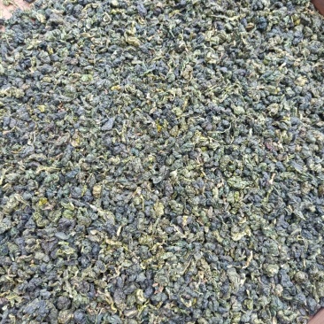 铁观音2019新茶青茶浓香型乌龙茶叶散装批发