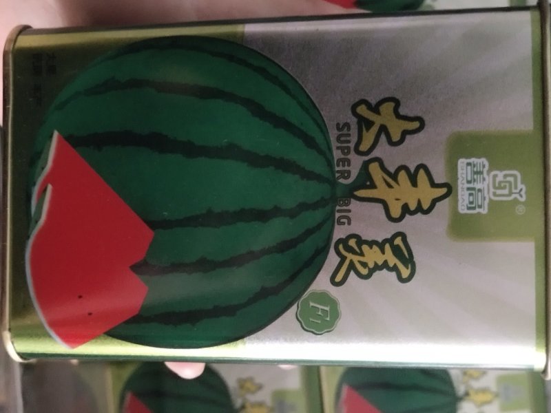 瓜果类善高大丰美，早熟品种，圆球形，单瓜重6-9kg