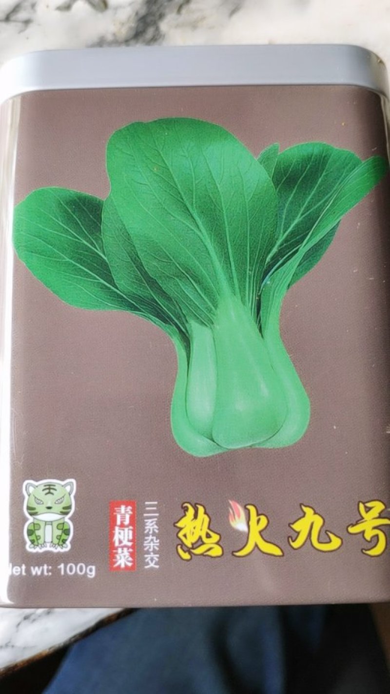 烈火九号青梗菜种子，杂交一代，耐热涝一件包邮！