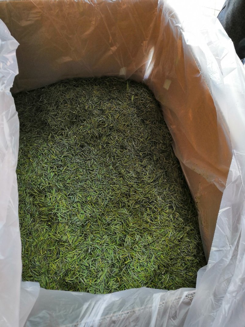 【喝好茶】2023厂家西湖龙井明前春茶新茶尝鲜500g