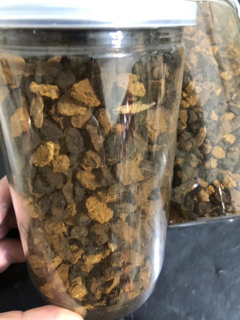 桦褐孔菌白桦茸桦树茸长白山野生桦褐孔菌桦树茸