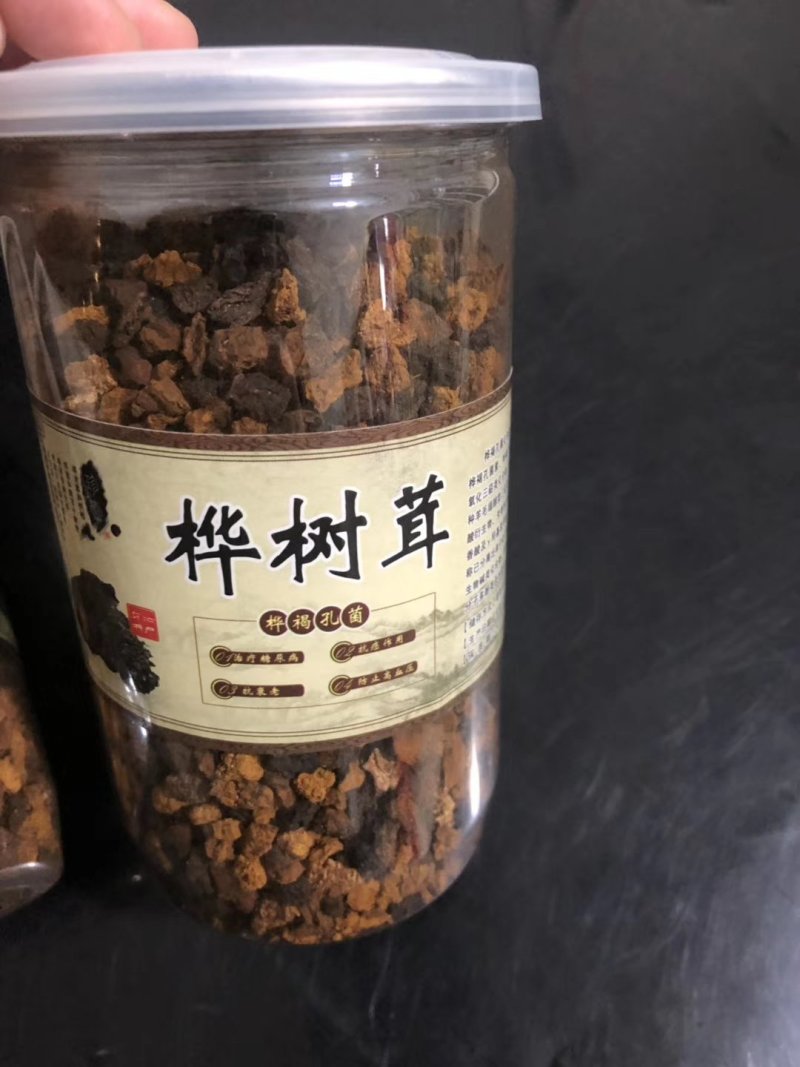 桦褐孔菌白桦茸桦树茸长白山野生桦褐孔菌桦树茸