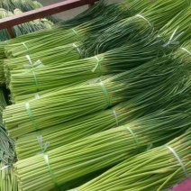 蒜薹大量供应，质优价廉一手货源