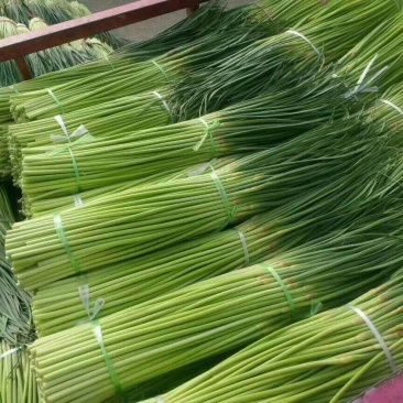蒜薹大量供应，质优价廉一手货源