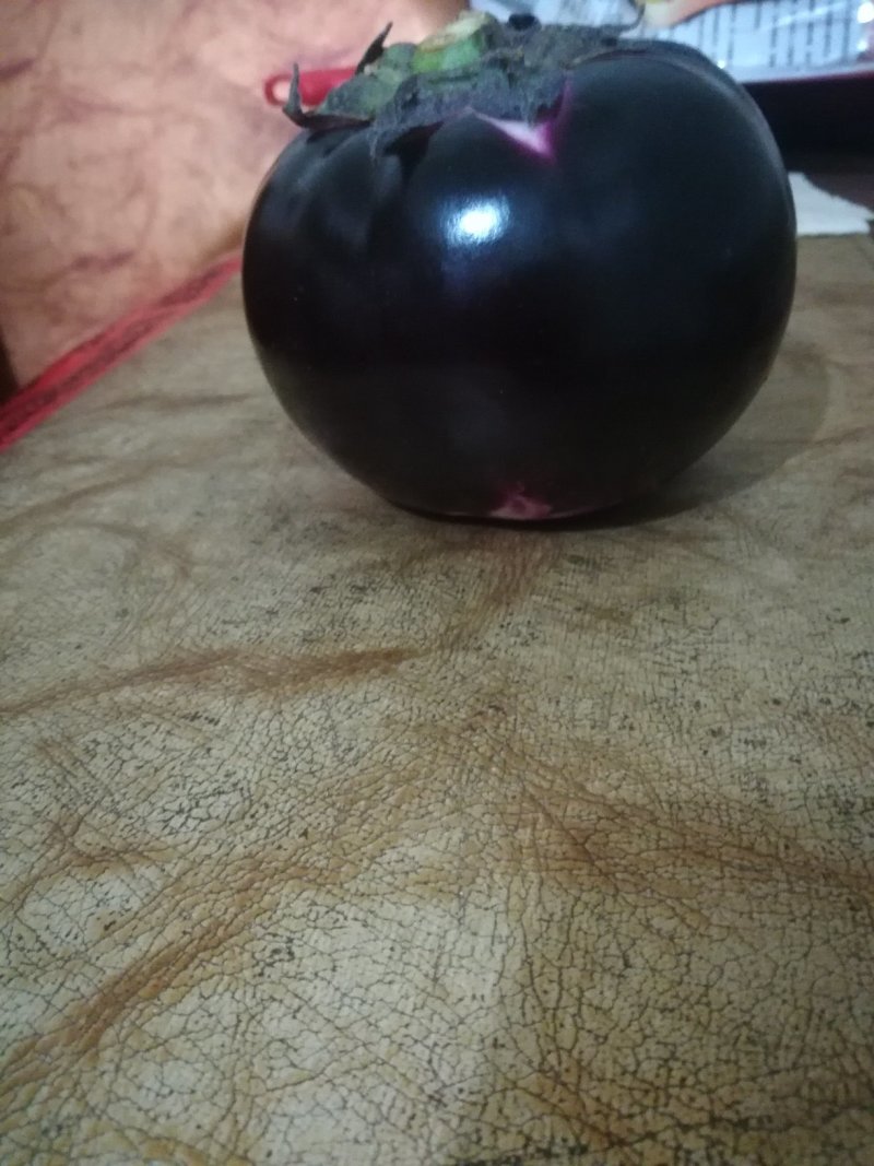 圆茄