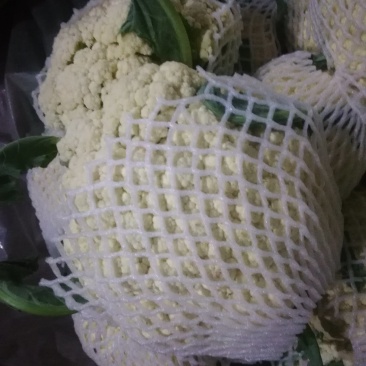 有机花