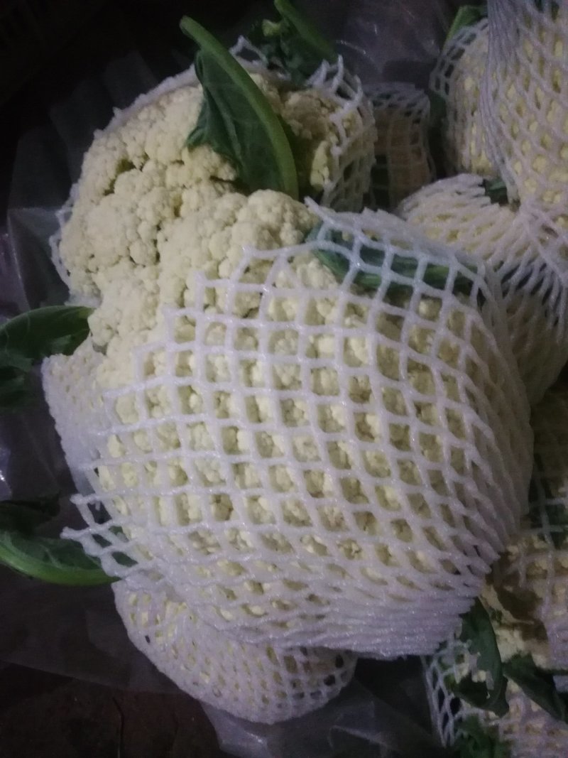 有机花