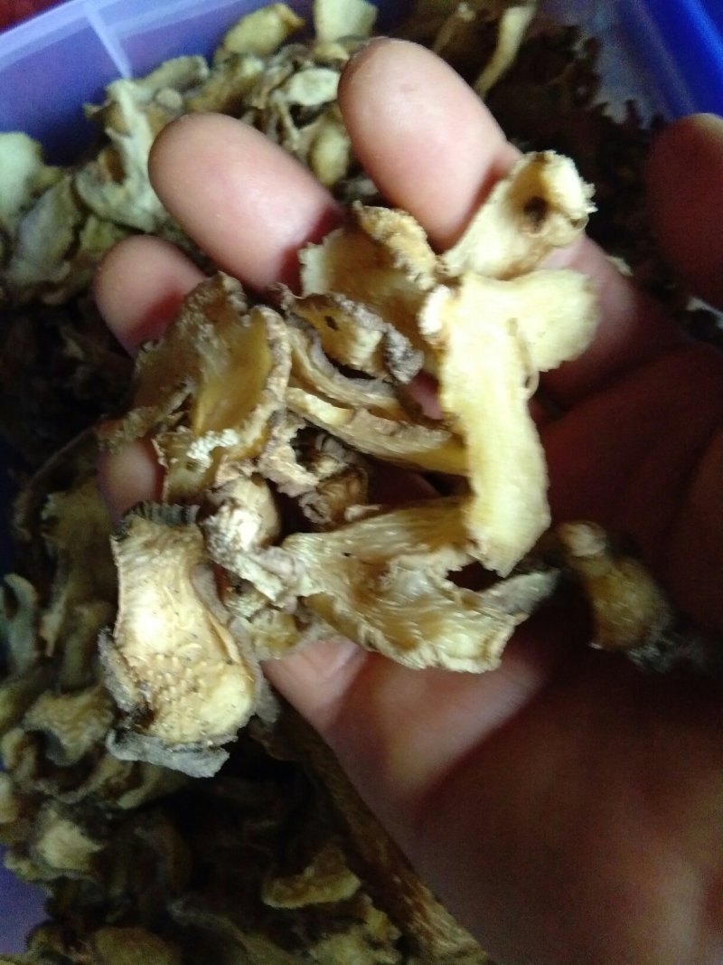 野生黄精片子