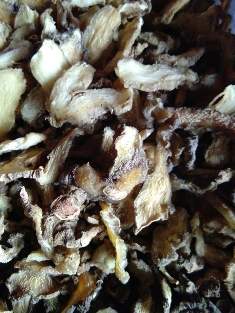 野生黄精片子