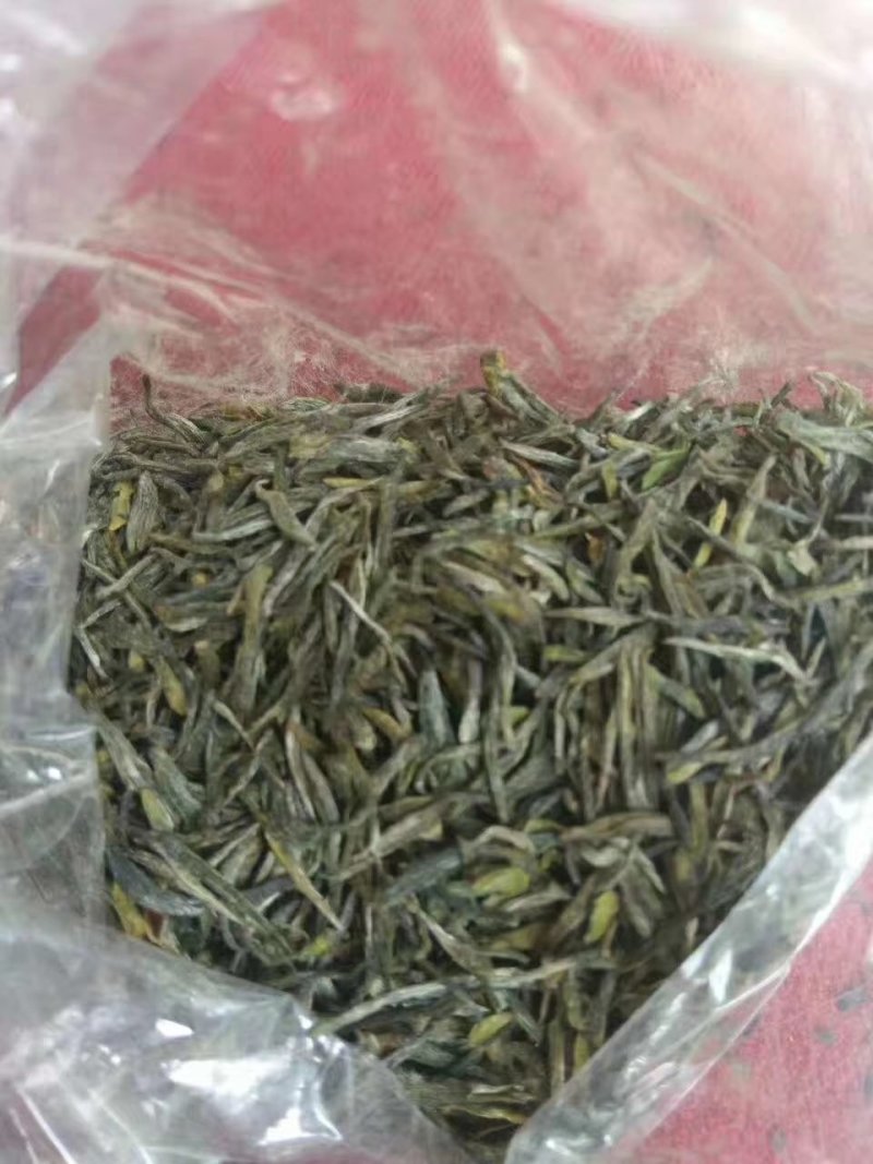 云台山云雾茶