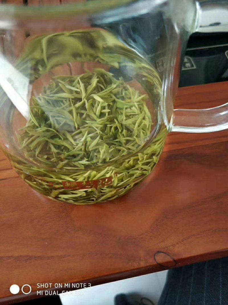 云台山云雾茶
