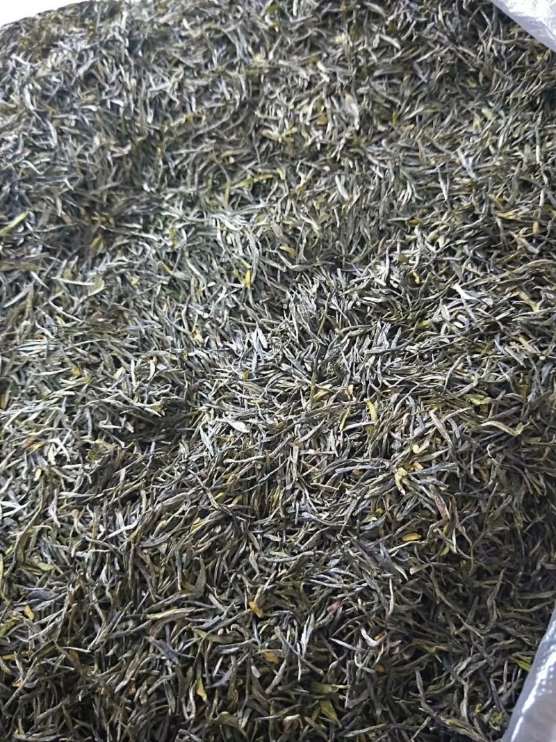 云台山云雾茶
