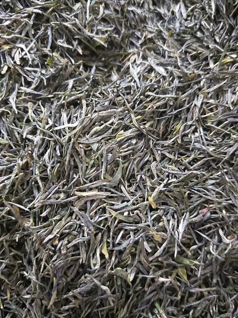 云台山云雾茶