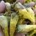 黄蜀葵花干花无硫泡茶干净无杂中药材大全视频看货包邮