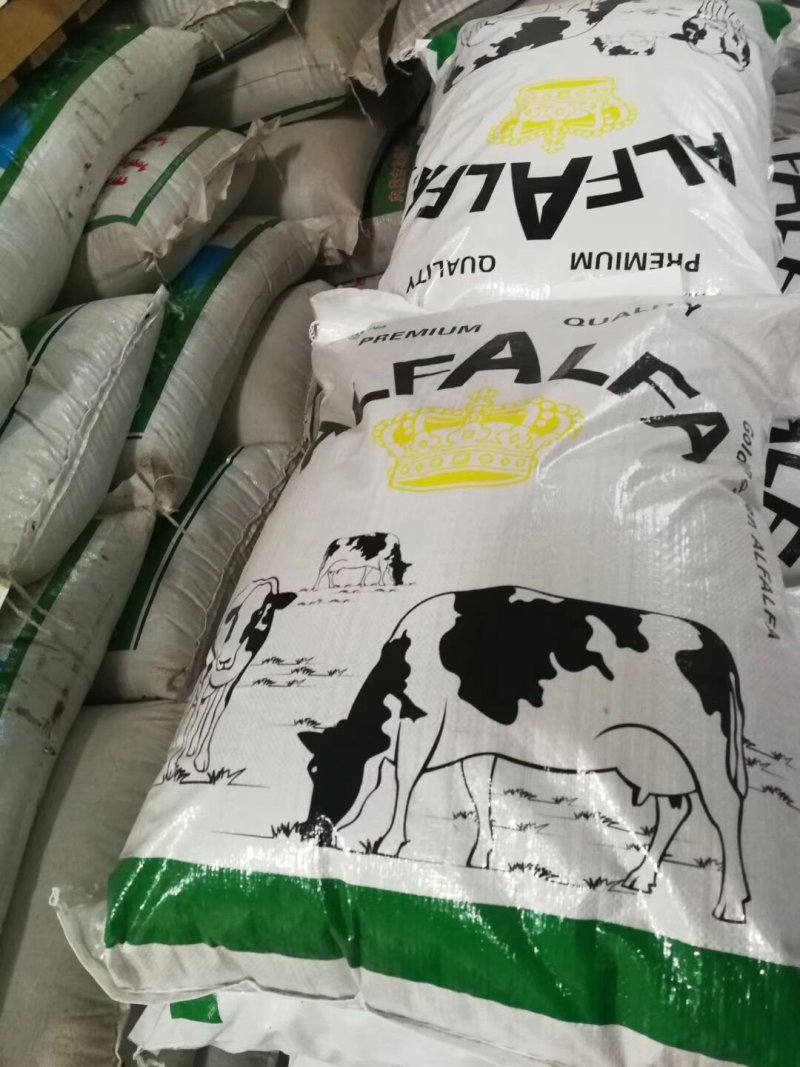 进口紫花苜蓿种子，净籽种子，可多年生长。