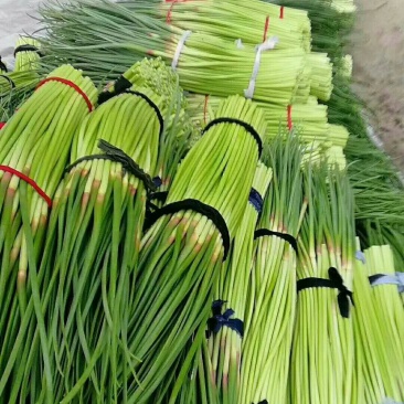 蒜薹大量上市