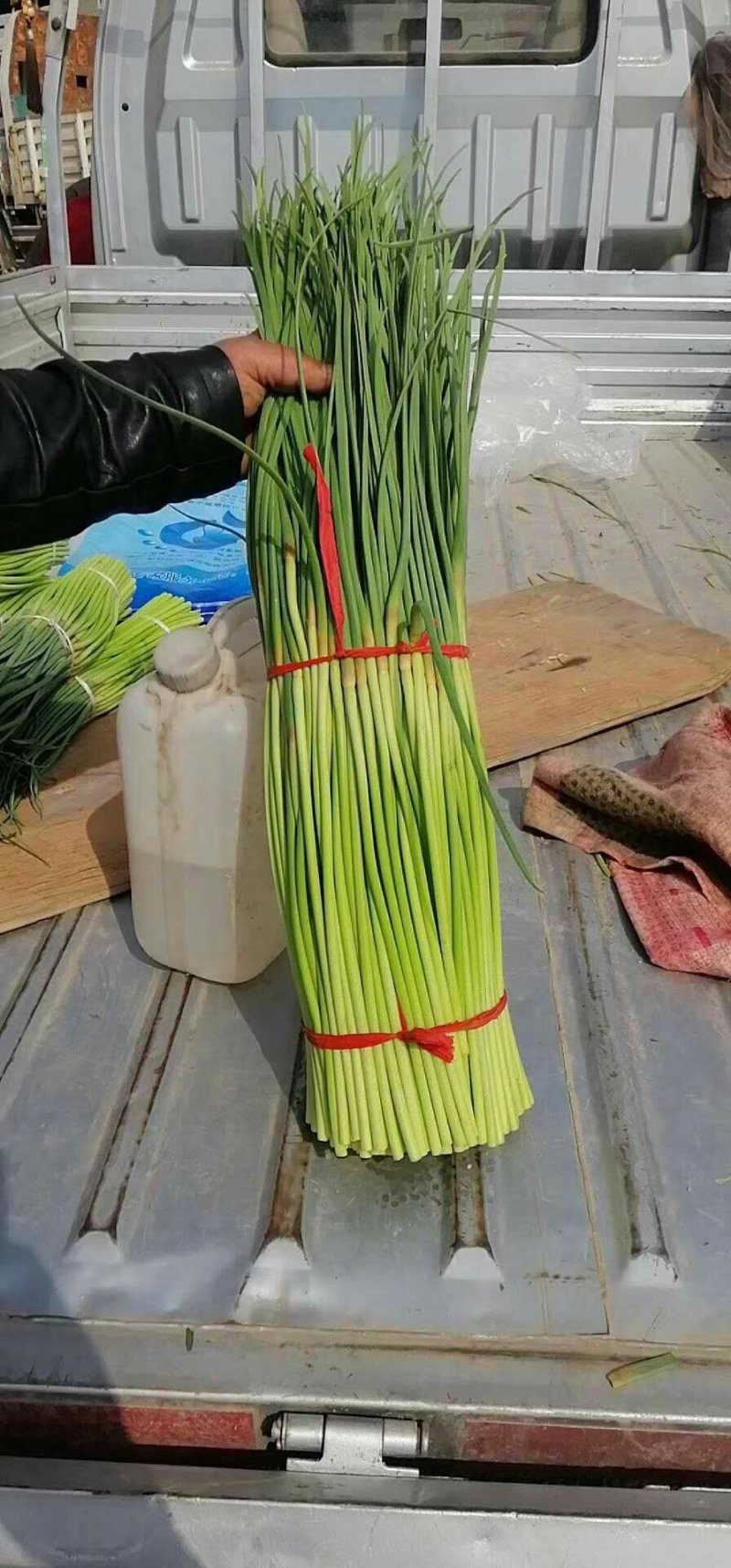 蒜薹大量上市