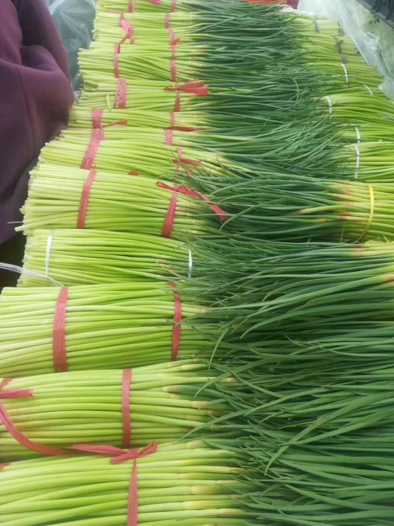 蒜薹大量上市