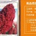 高产抗病糯矮杆大田红高粱种子杂交高粱种子