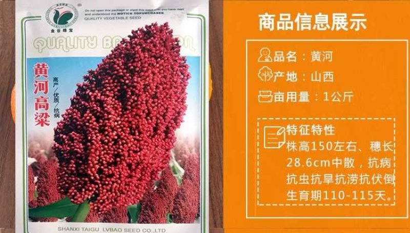 高产抗病糯矮杆大田红高粱种子杂交高粱种子