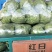 中甘21