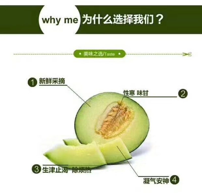 海阳特产网纹瓜