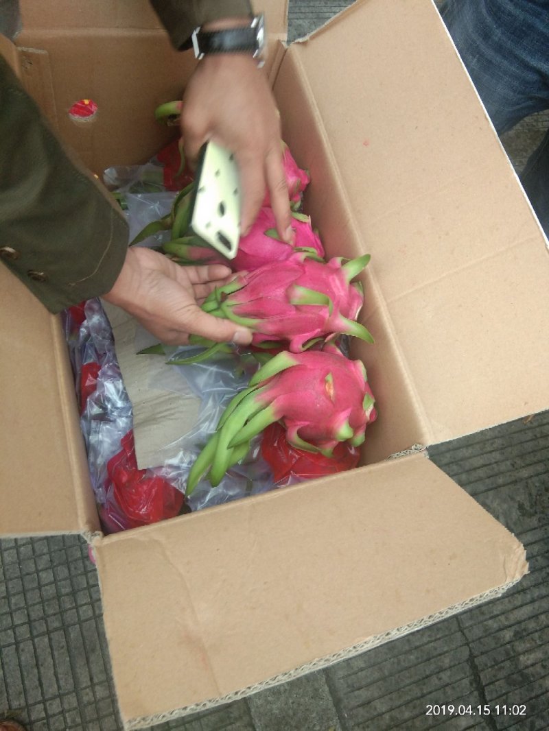 火龙果越南