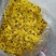精品金丝皇菊