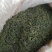青山绿水，小叶毛冬青嫩芽，清香甘苦货干净漂亮
