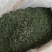 青山绿水，小叶毛冬青嫩芽，清香甘苦货干净漂亮