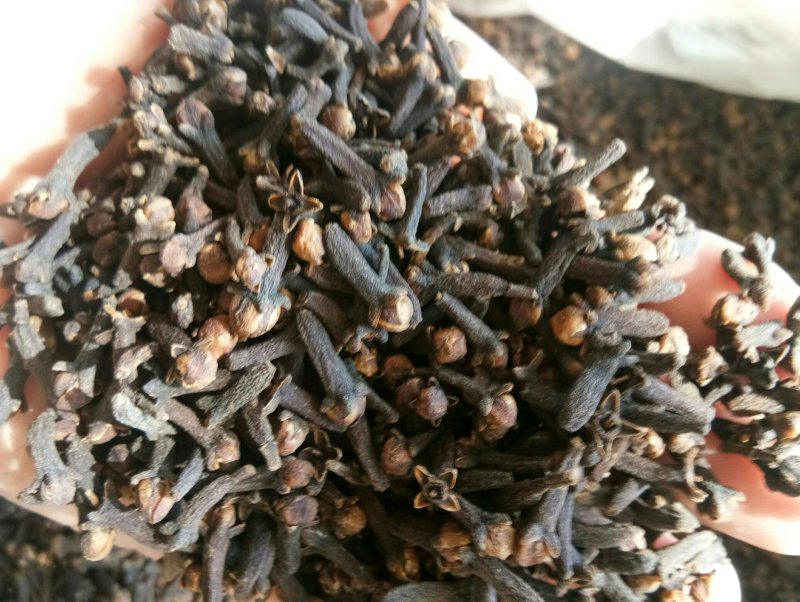 丁香正宗公丁香食药两用泡水亦可做调味料一公斤起