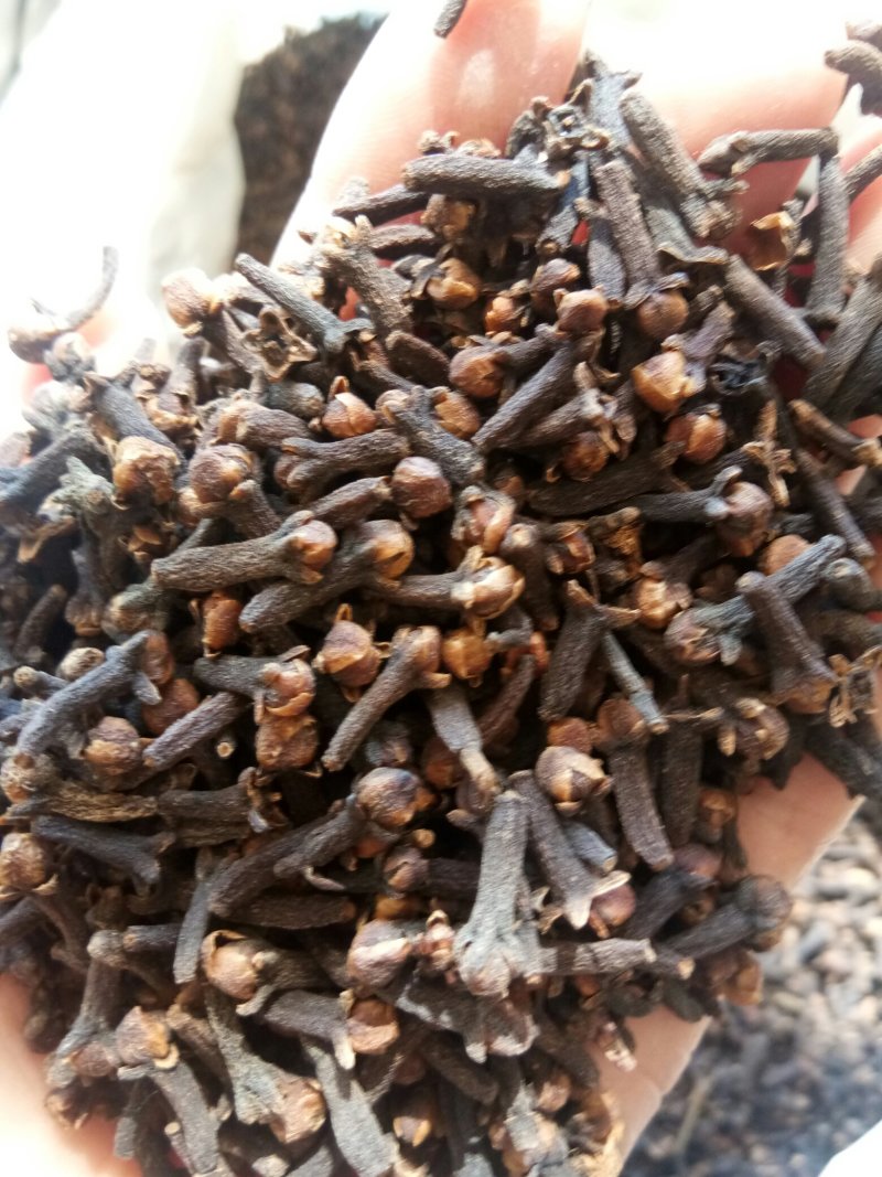丁香正宗公丁香食药两用泡水亦可做调味料一公斤起