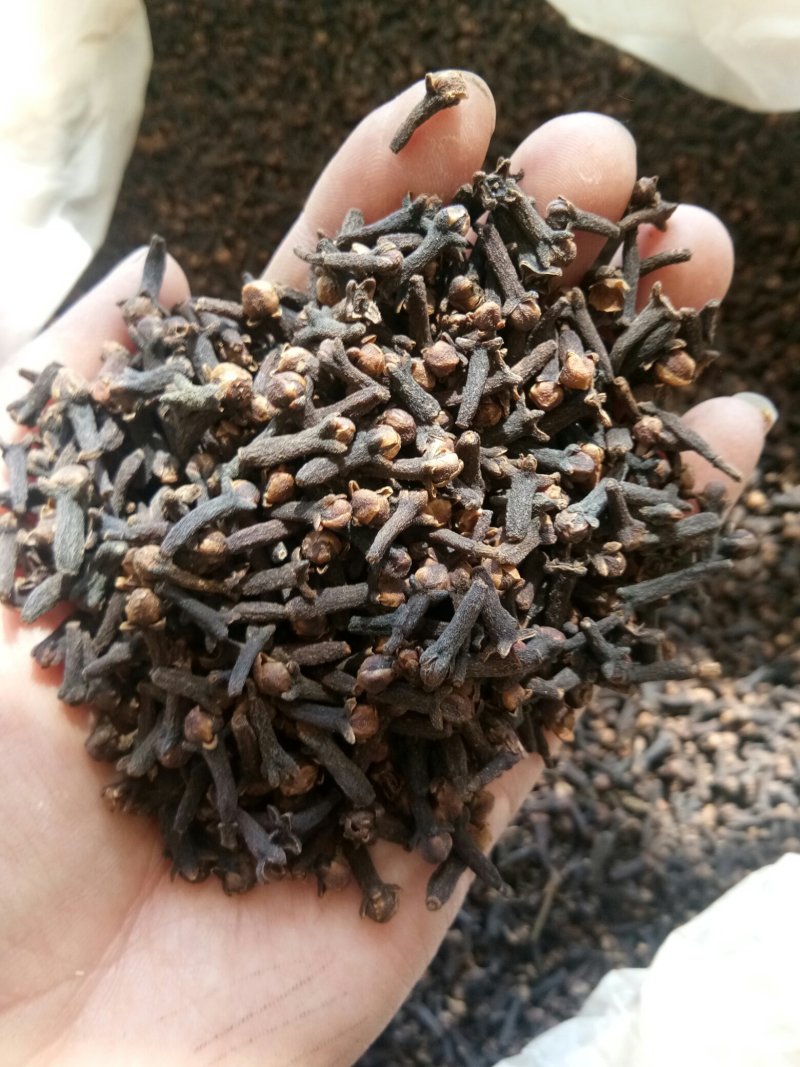 丁香正宗公丁香食药两用泡水亦可做调味料一公斤起