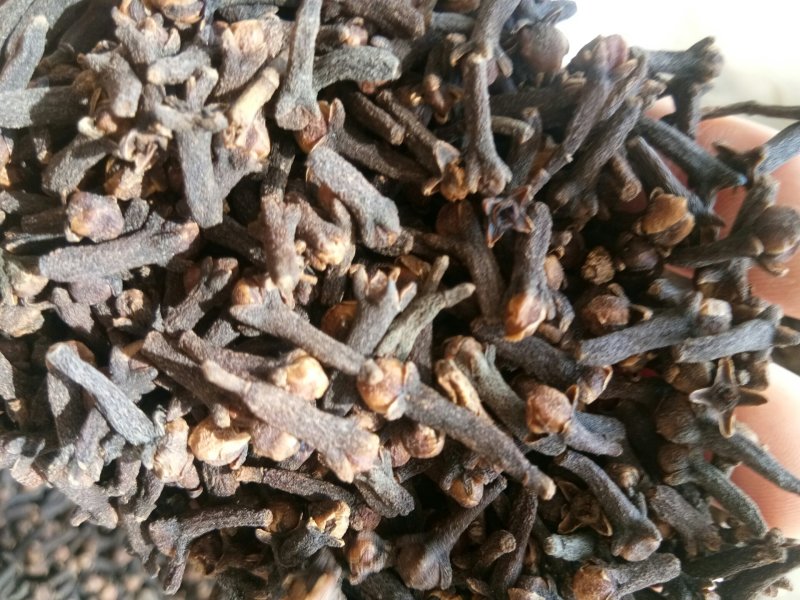 丁香正宗公丁香食药两用泡水亦可做调味料一公斤起