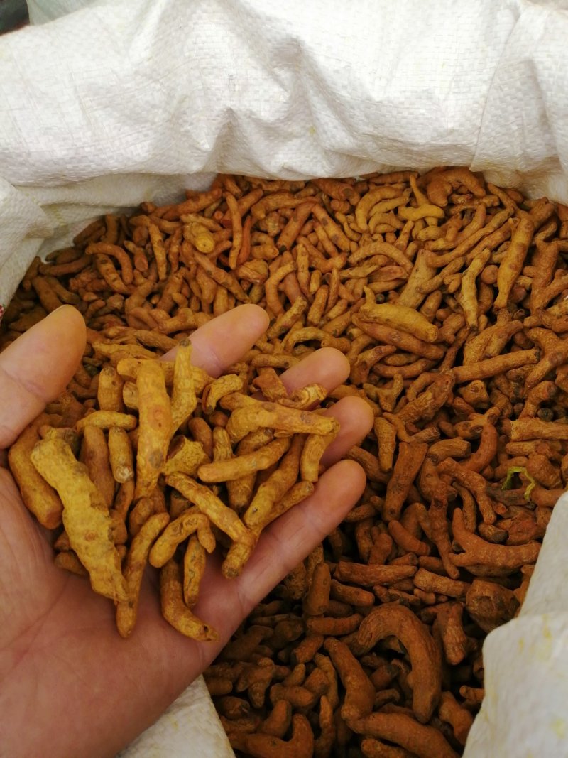 姜黄，云南脱皮姜黄，货干颜色漂亮常年经营大货供应