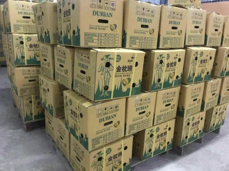 泰国金枕，托曼尼