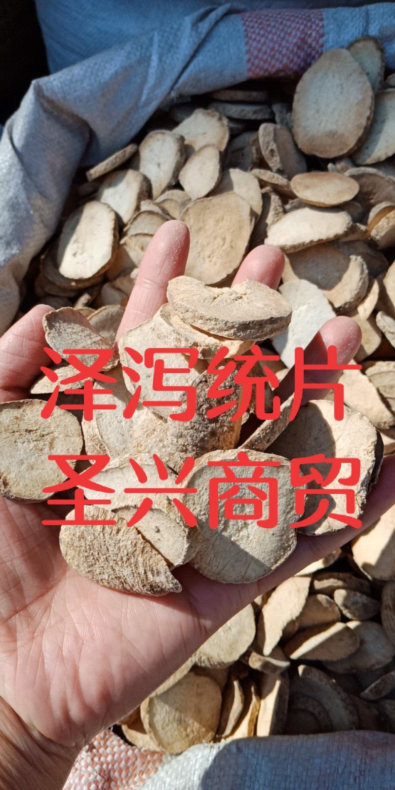 泽泻无硫川泽泻炒泽泻中药材批发质量保证