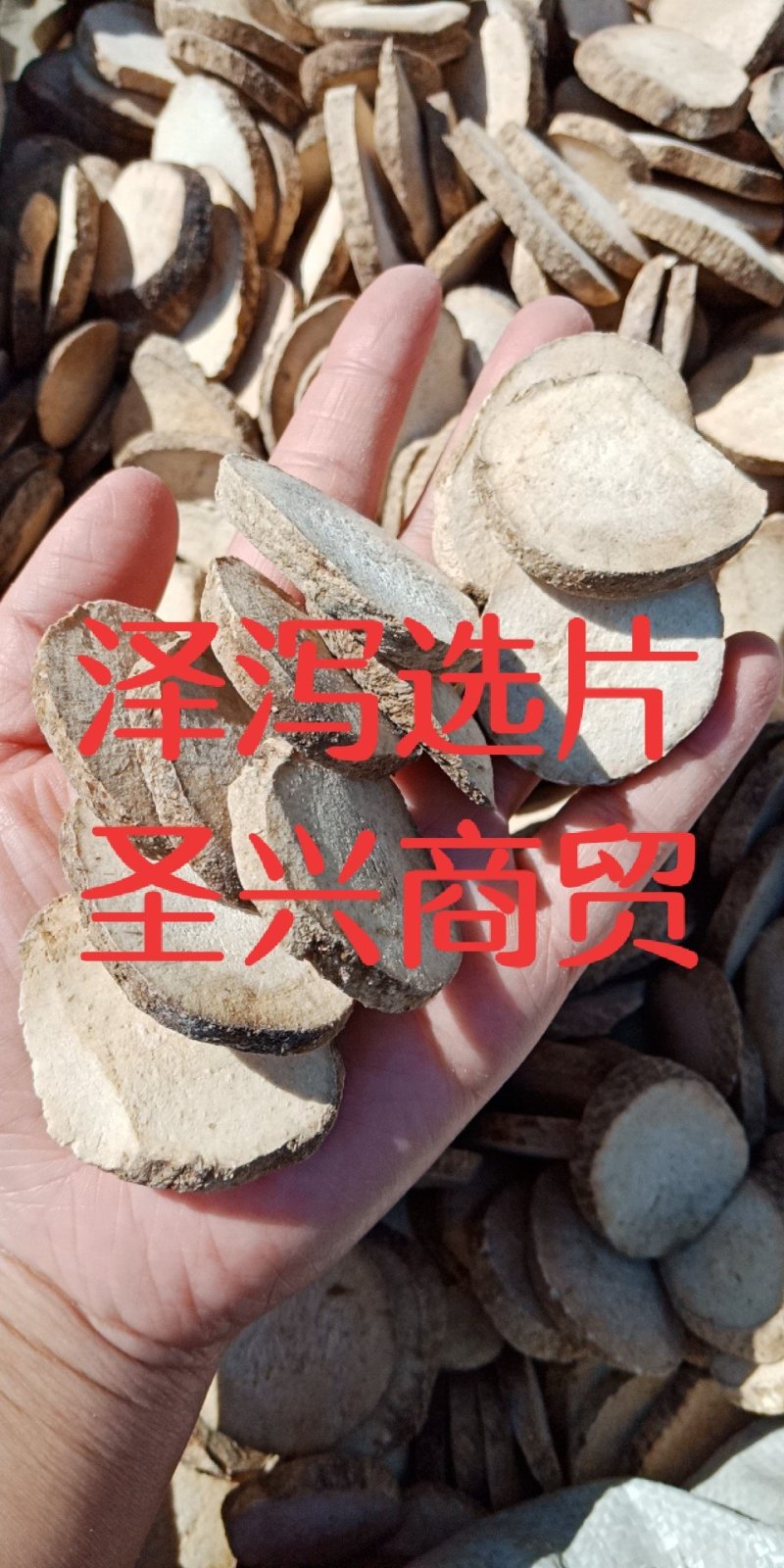 泽泻无硫川泽泻炒泽泻中药材批发质量保证