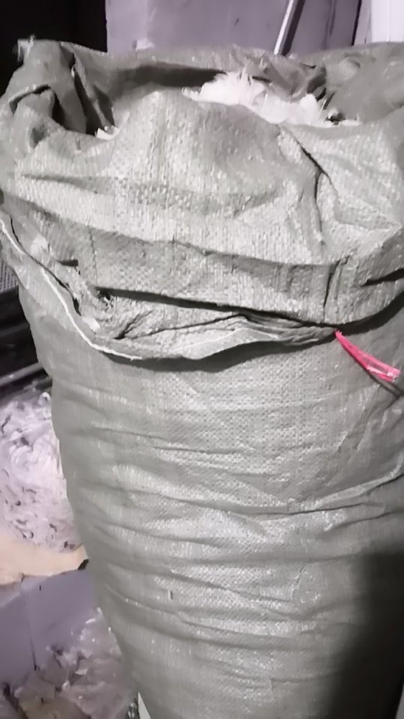 老鹅白毛