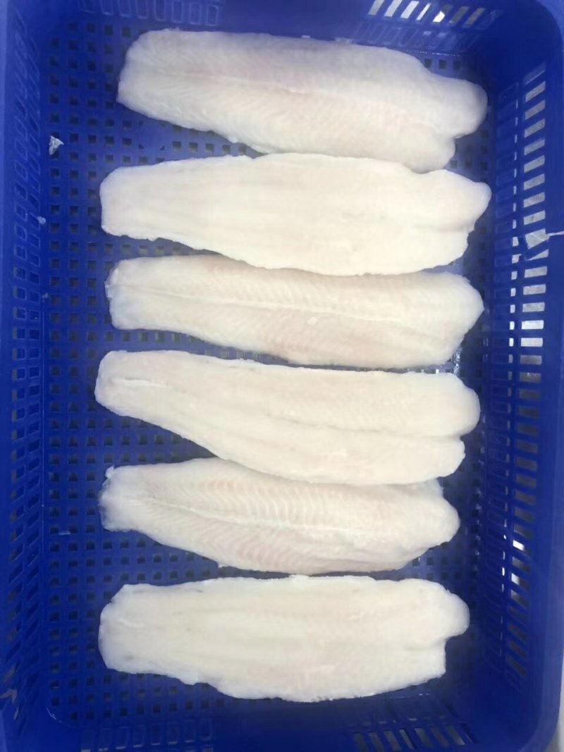 巴沙鱼