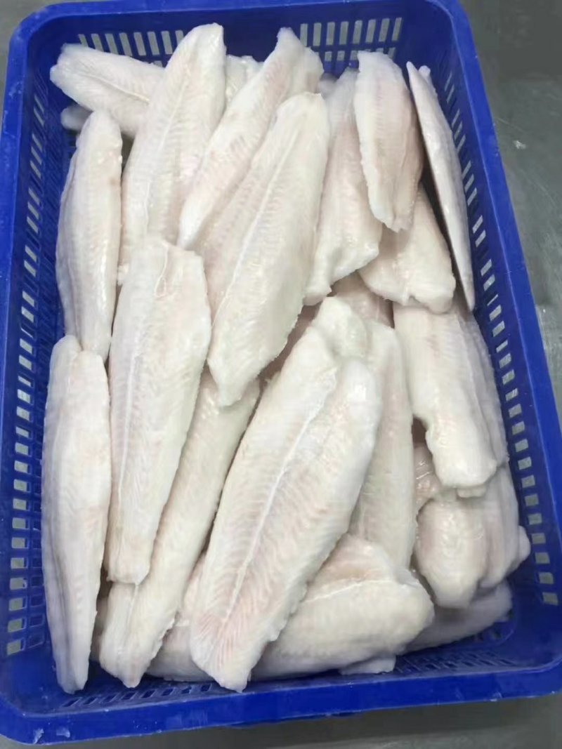 巴沙鱼