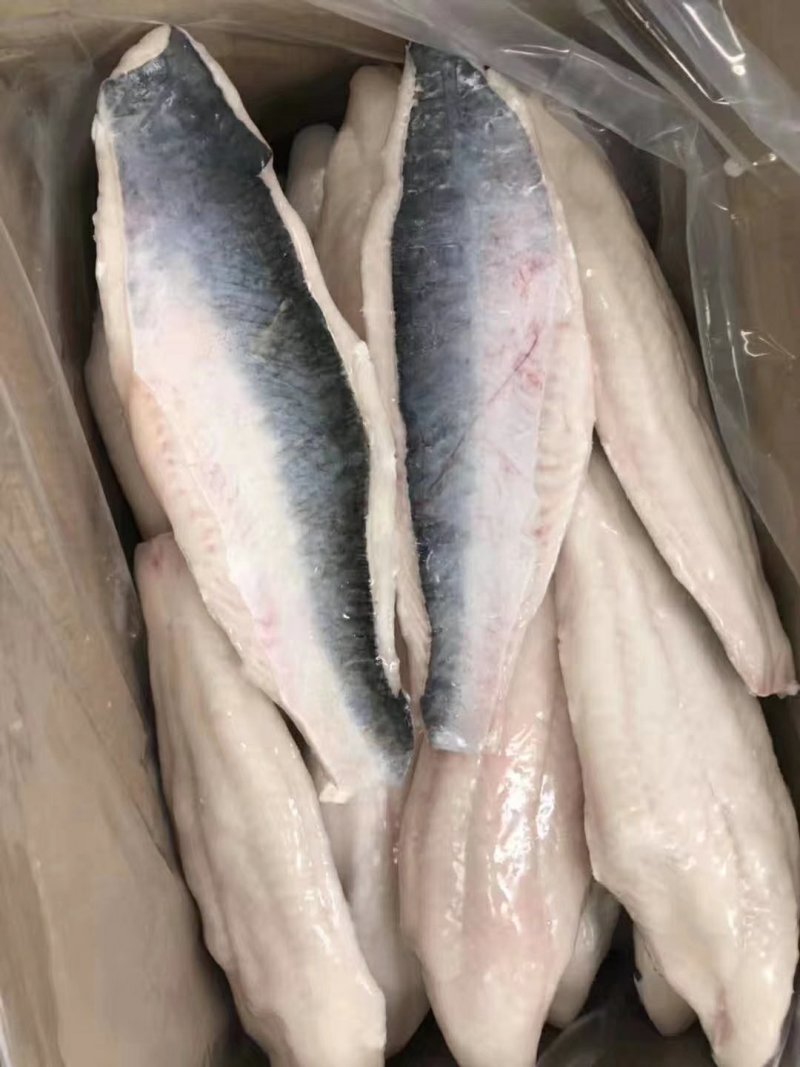 巴沙鱼