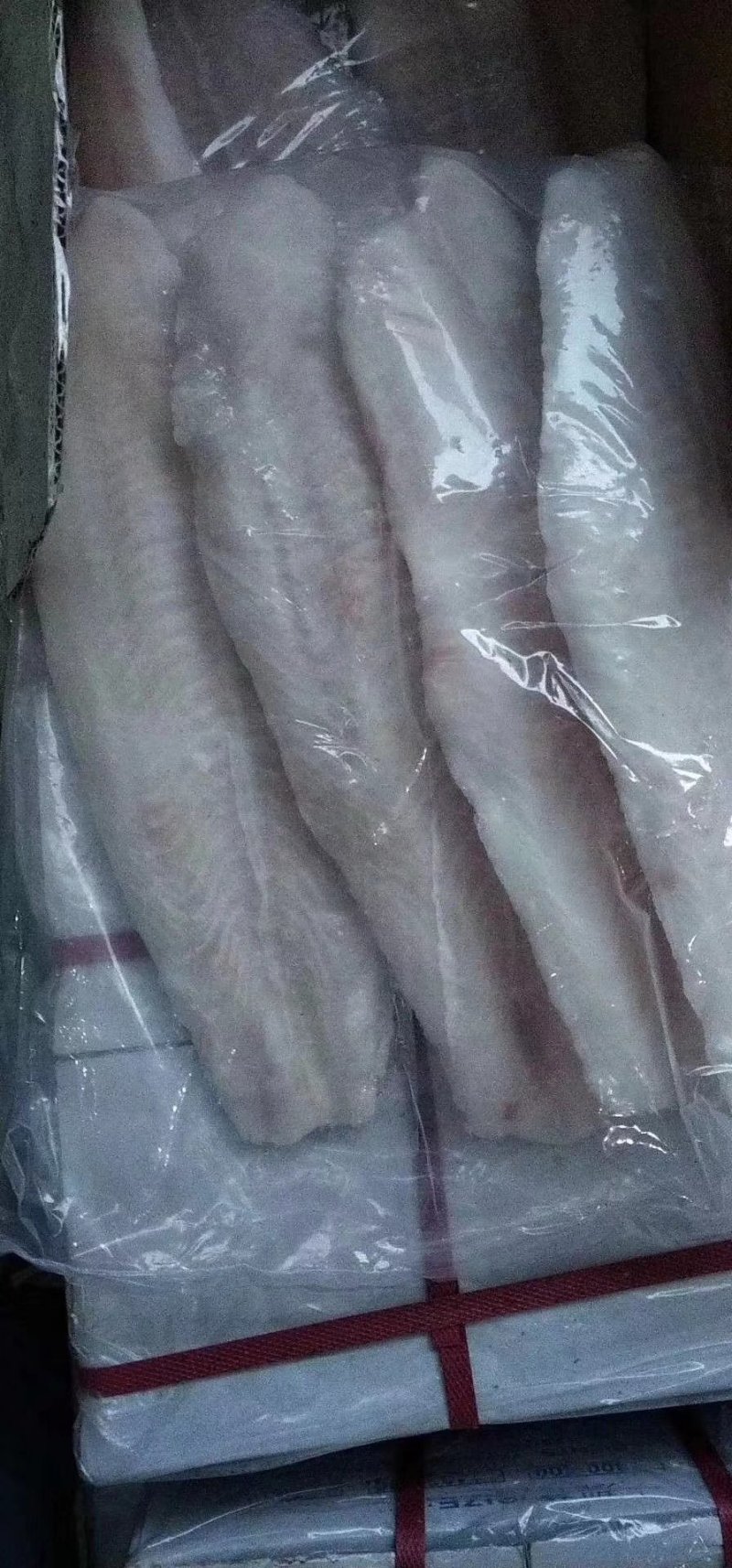 巴沙鱼