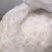 老鹅白毛